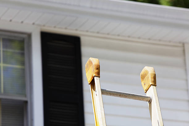 Best Insulated Siding Installation  in Ludowici, GA